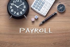 image for Payroll Returns Processing and Pension Auto Enrolment London