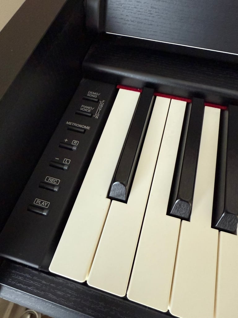 🎹 Yamaha YDP-S54 Digital Piano and Stand – Hardly Used