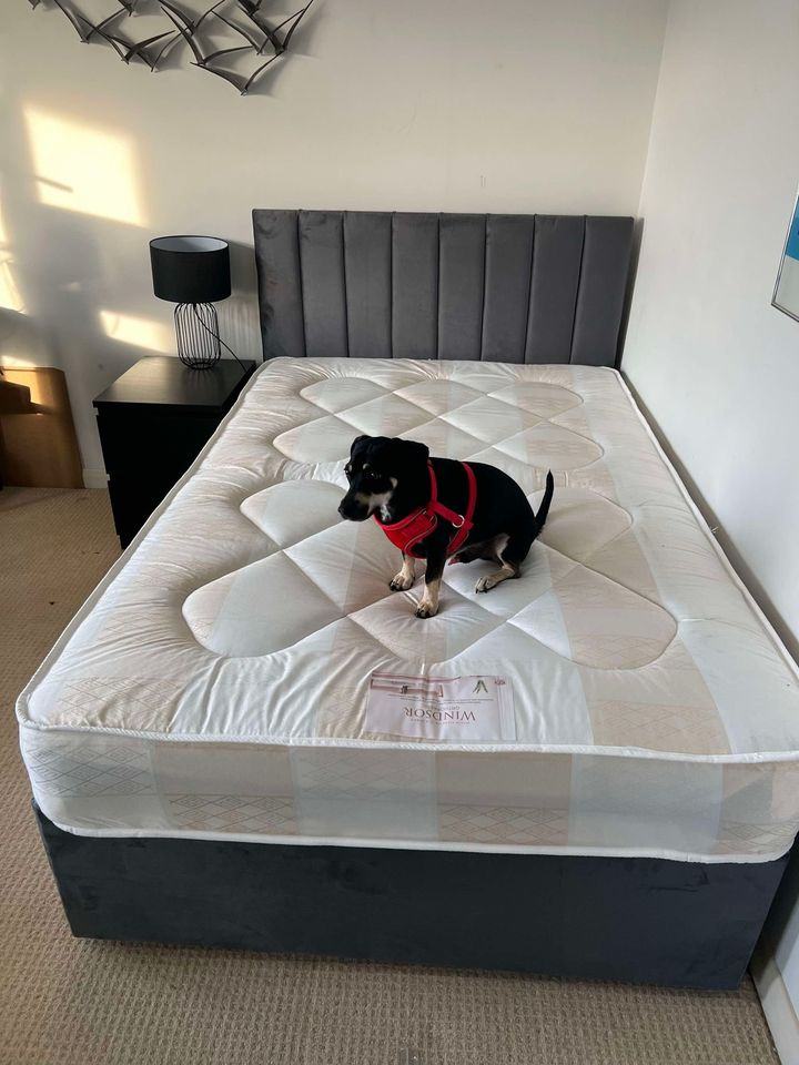 image for Flash Sale! 25% OFF Stylish Double Divan! In Stock Ready **