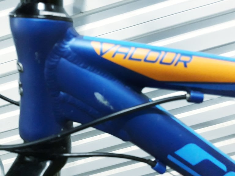 Carrera Valour ladies mountain bike lightweight.