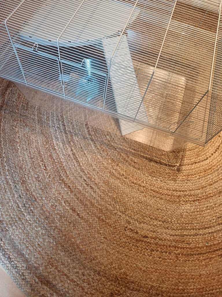 Gerbil Cage