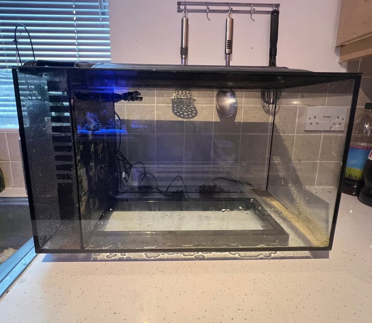 EVO 52L fish tank 