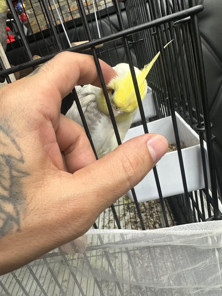 image for Female and male 