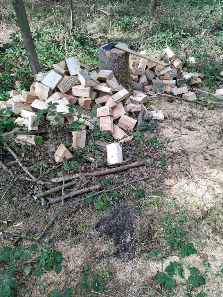 Hardwood logs