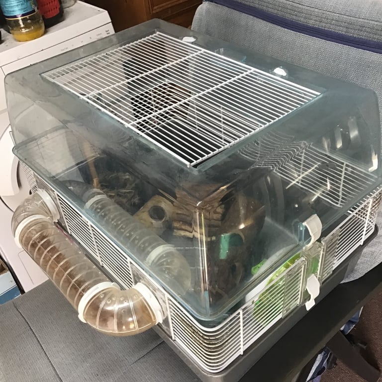 Hamster cage