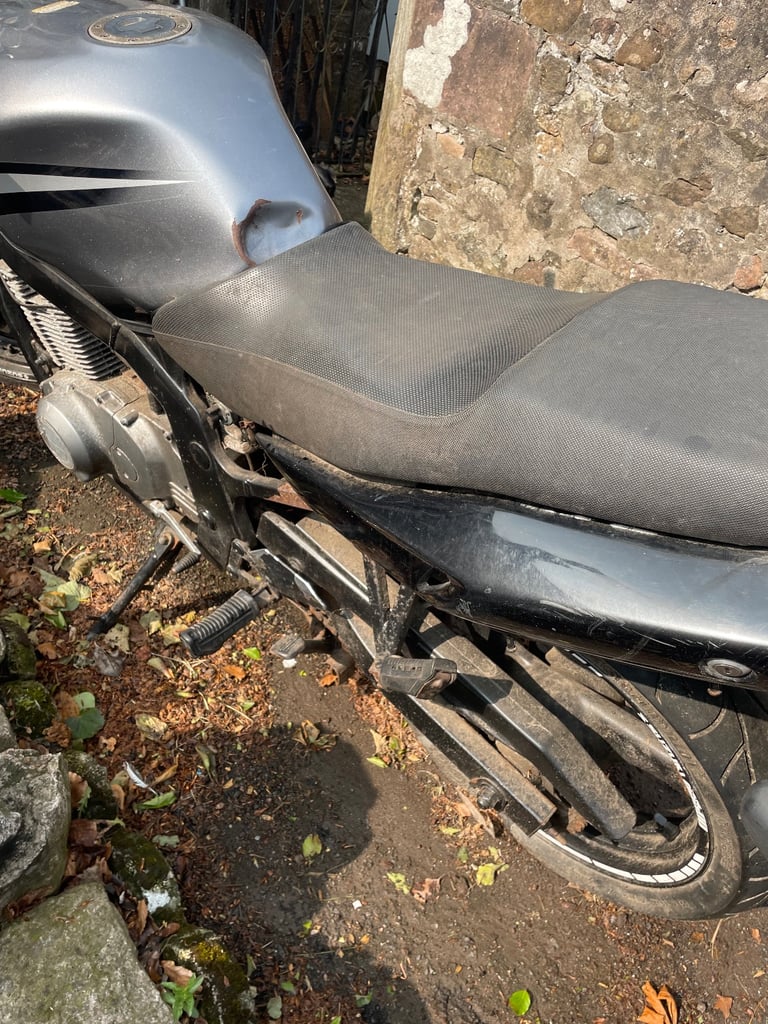 Suzuki, GS, 2008, 487 (cc)