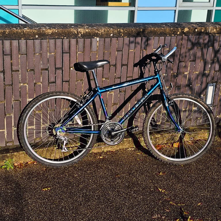 image for 1990s vintage blue Raleigh Boulder