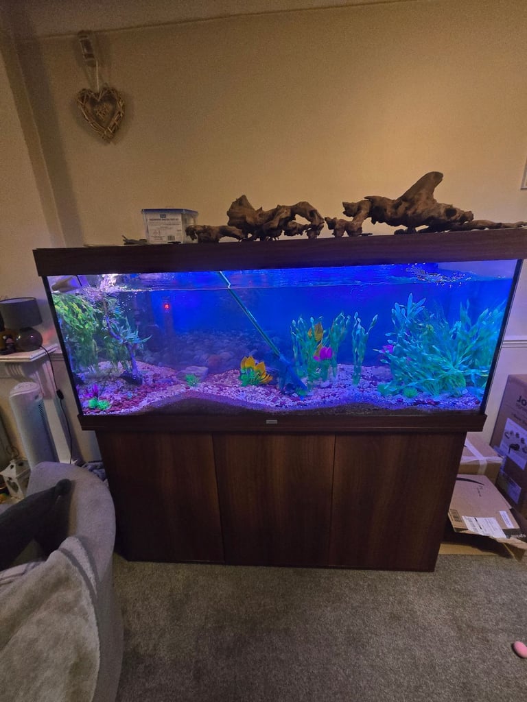 Full tropical set up juwel 450