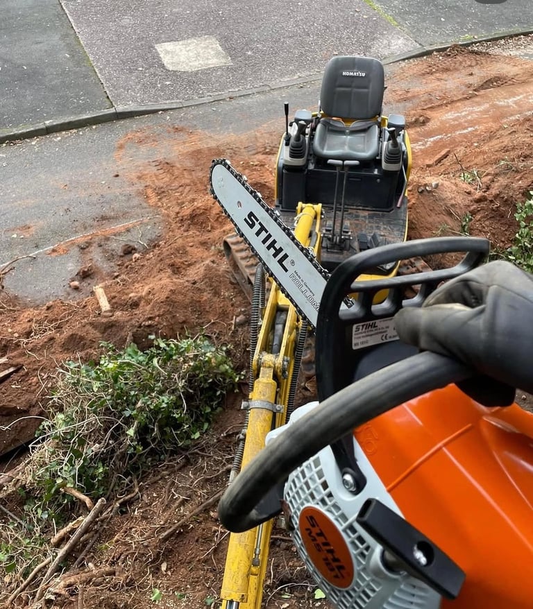 image for Tree surgeon, stump grinding, Tree removal. 