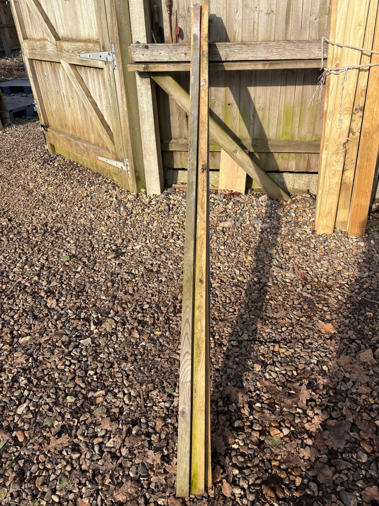 19x38mm 2.4 timber 