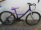 Girl&#039;s 24&quot; wheel bike