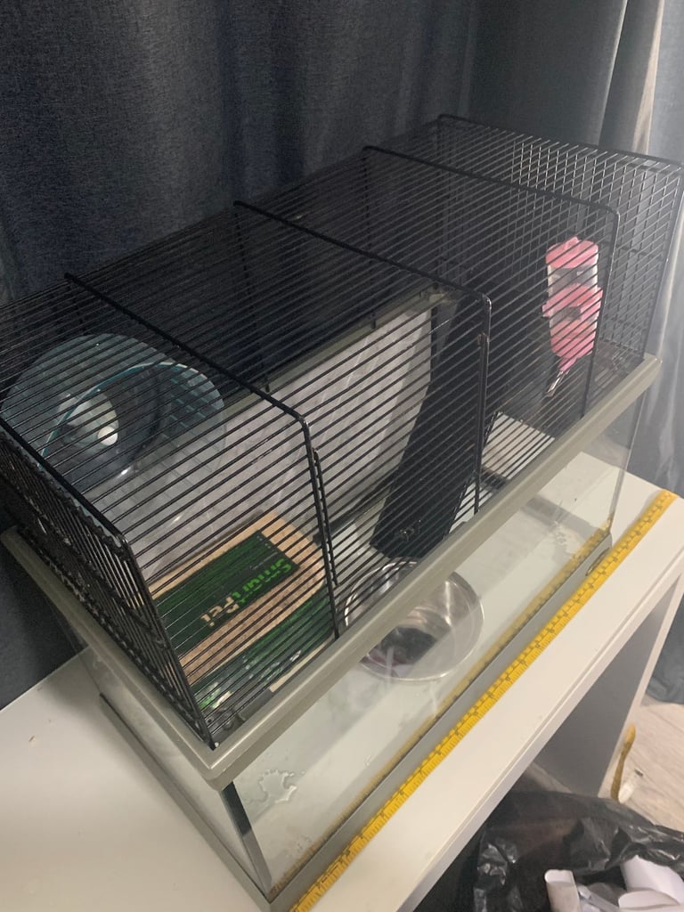 Glass Cage For Rodents 