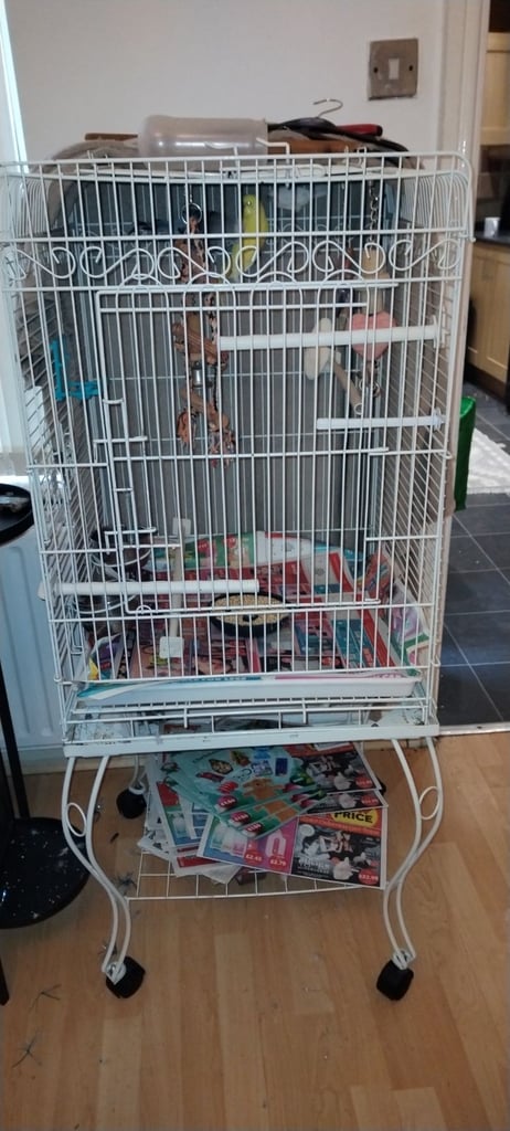 image for Budgies cage and finch