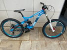 Custom mountain bike