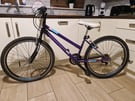 26&quot; Ignite Mountain Bike