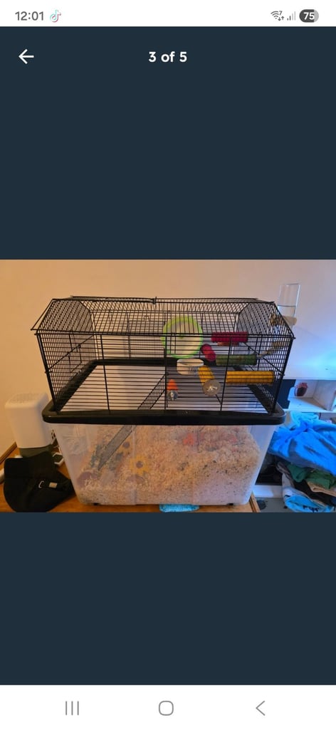 Hamster cage and accessories 