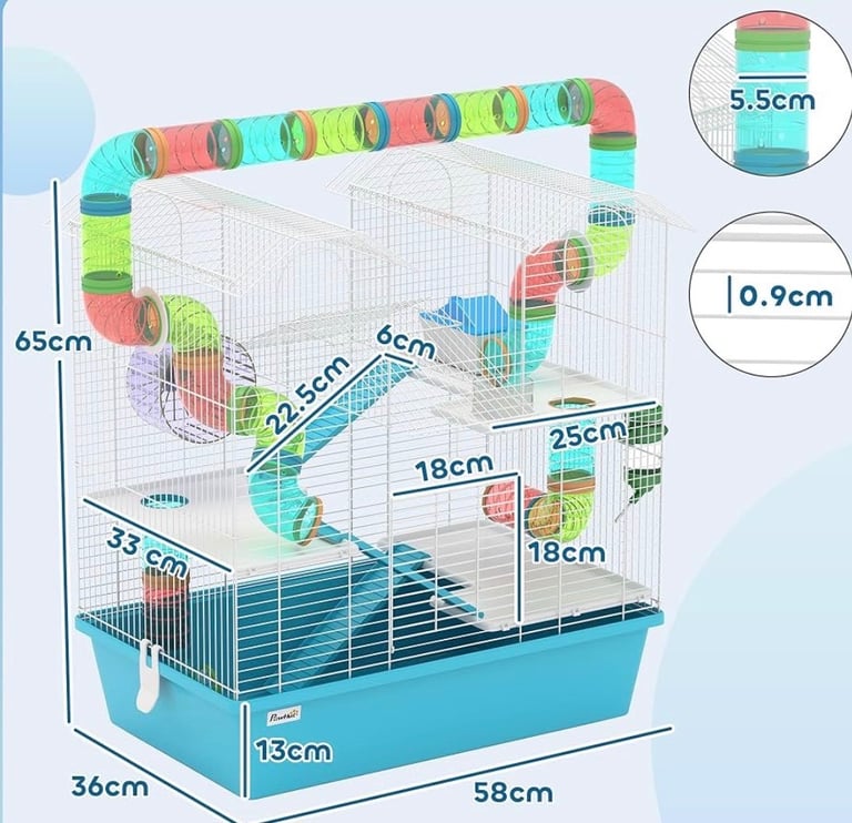 Russian Dwarf Hamster 🐹 4m + Cage & accessories 