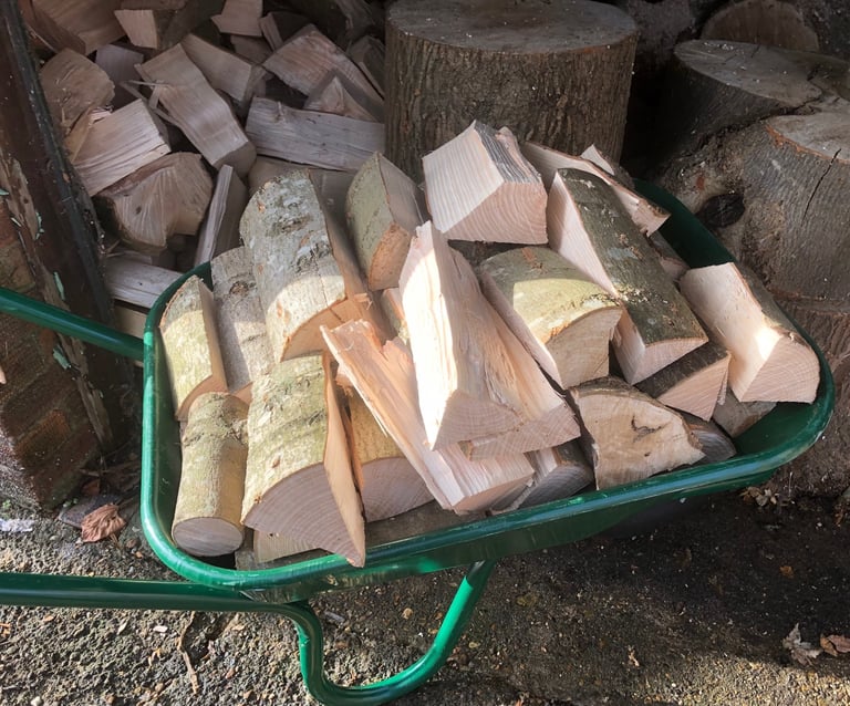 image for Ash Wood Hardwood Logs Full Wheelbarrow
