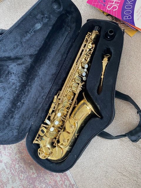 Trevor James 'The Horn' alto saxophone