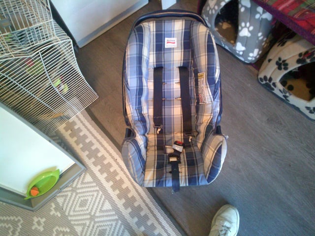 Britax rock a tot online