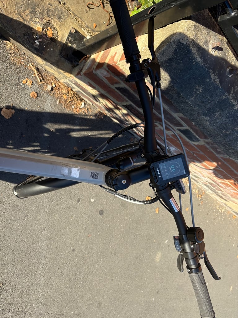 peddle ( electric bike peddle assist) 
