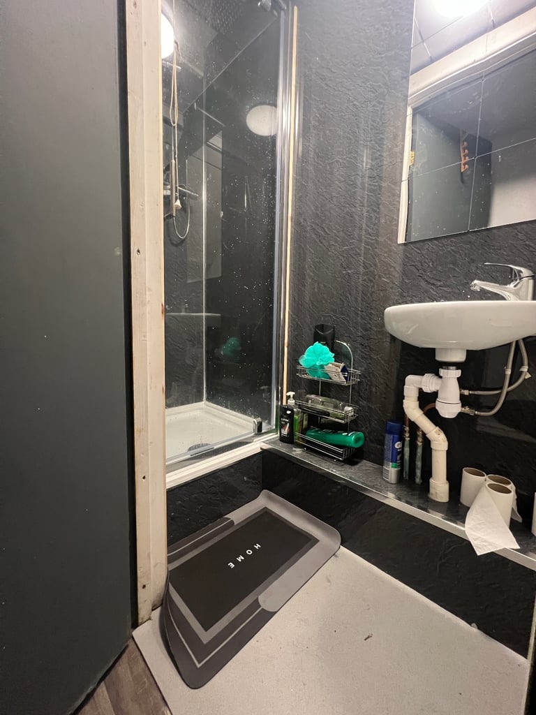 Large double room Brynmill all inclusive 