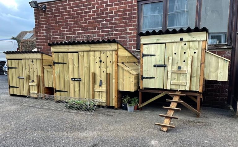 Chicken coop hen house duck house 