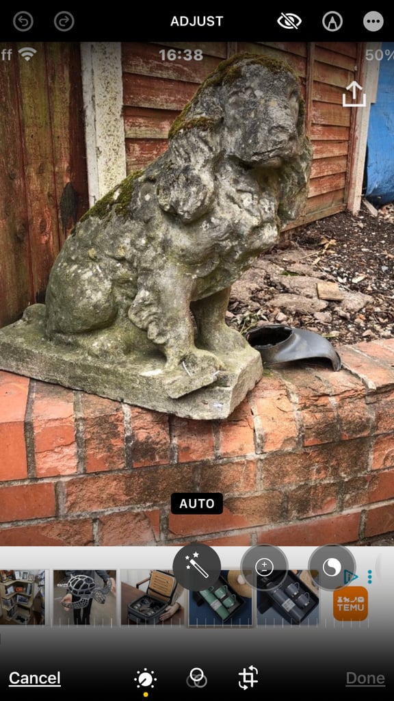 image for Very. Old dog ornament 