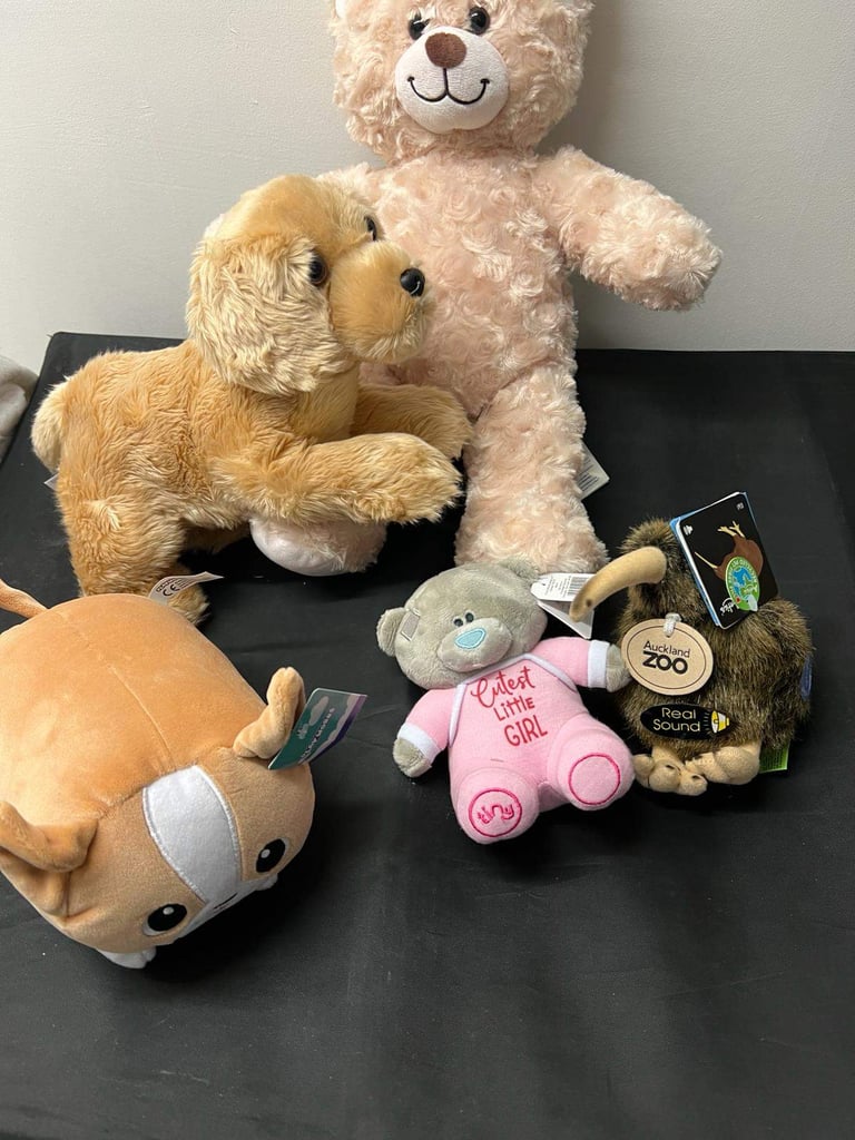 image for Childrens Teddy Bear Bundle