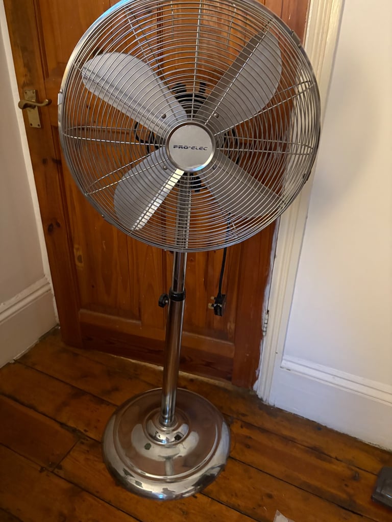 Fan