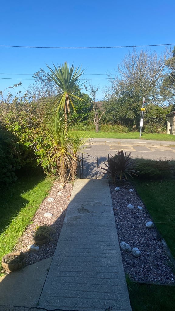 Cornwall to Islington or Greater London