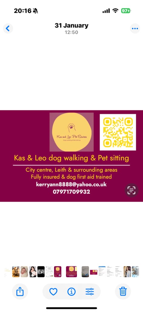 image for Dog walking and pet sitting 