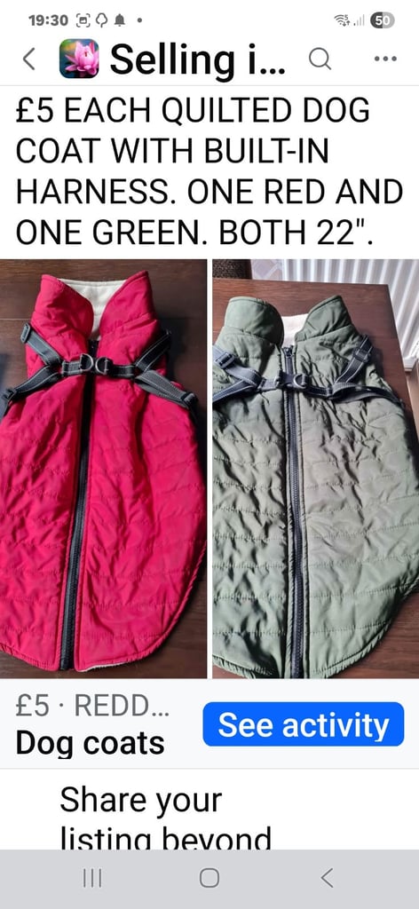 Large dog coats