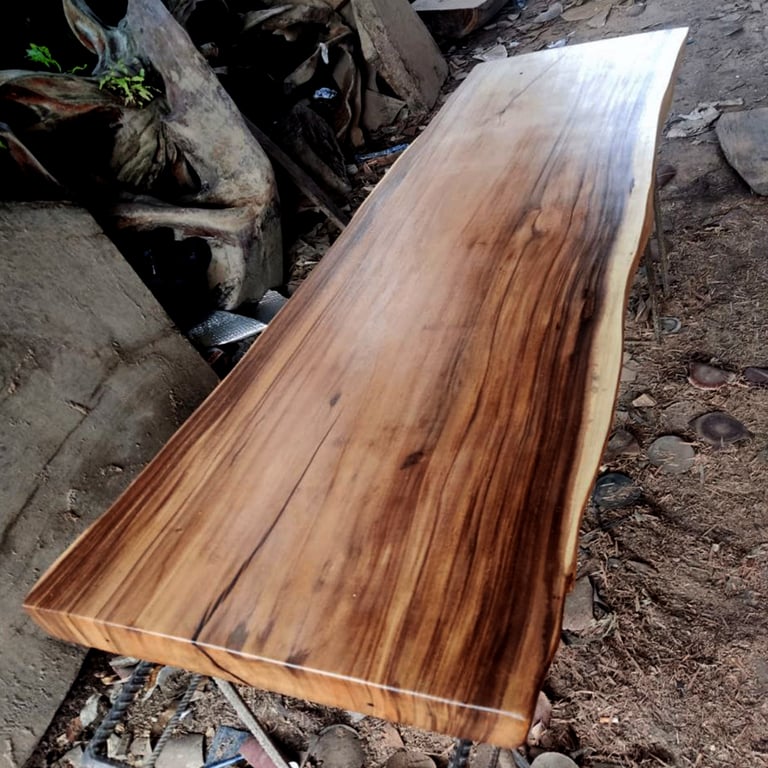 Suar Wood (Monkey Pod or Acacia) Slab from Bali