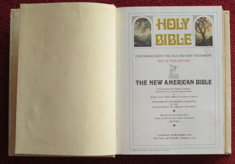 image for LARGE 'HOLY BIBLE' THE NEW AMERICAN BIBLE BEAUTIFULLY ILLUSTRATED 