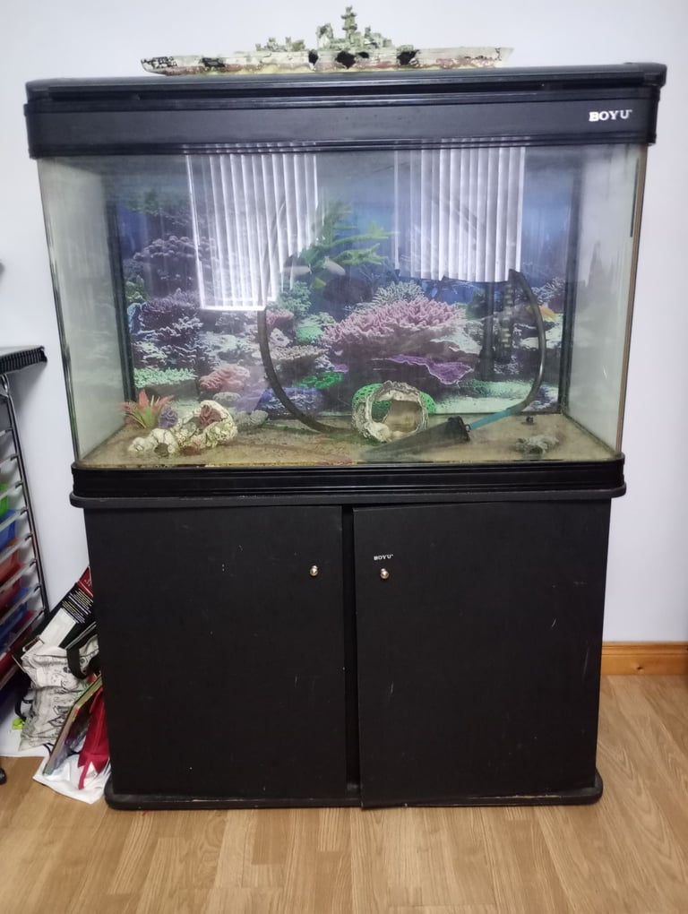 Large BOYU fish tank