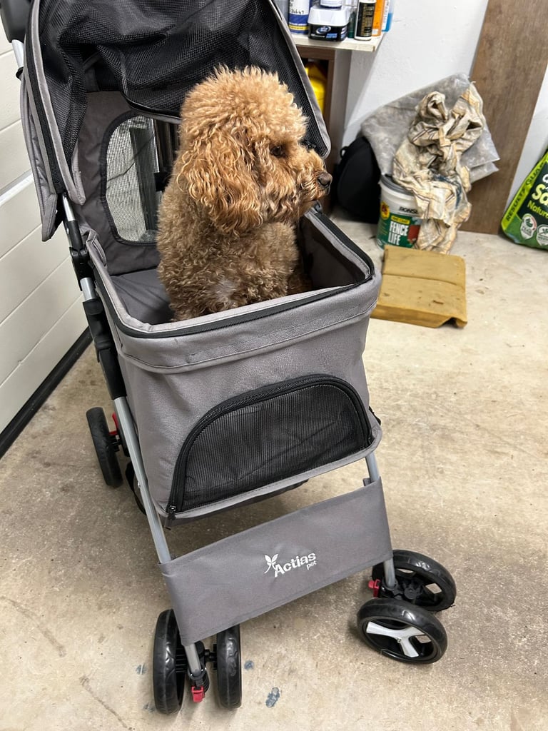 Pet Stroller,  Pet Buggy