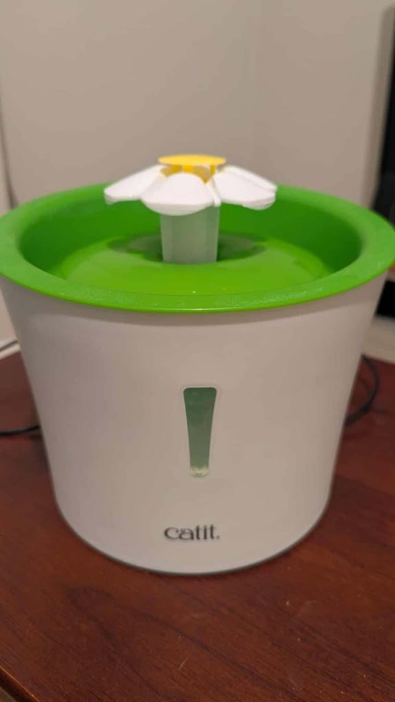 Catit flower drinking fountain