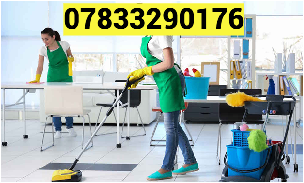 TOSHKA CLEANING SERVICES avatar