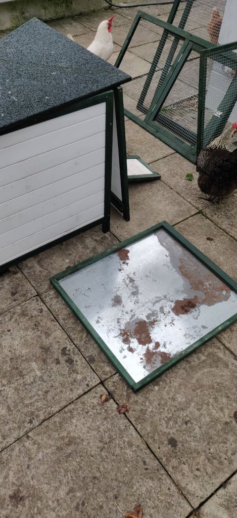 Pawhut chicken coop and run