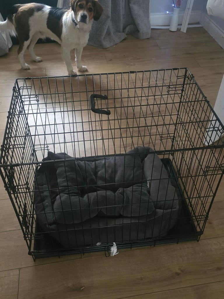 Medium size pets for home dig cage and bed