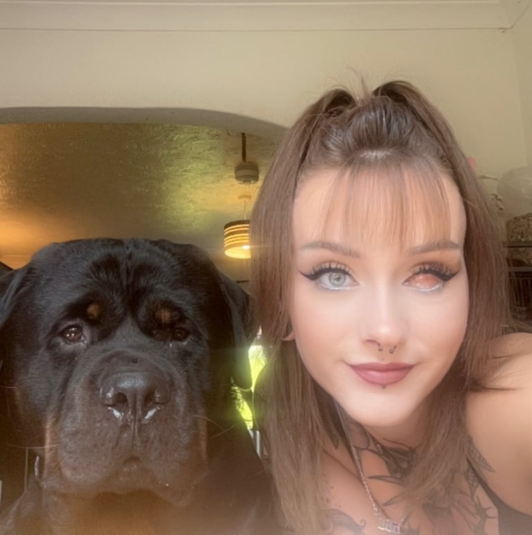 Rusty the Rottweiler 