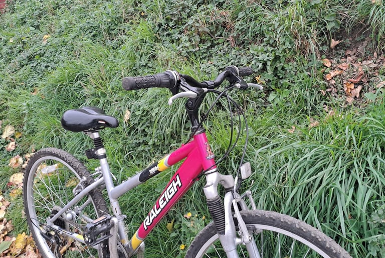 Ladies Raleigh Minx bike