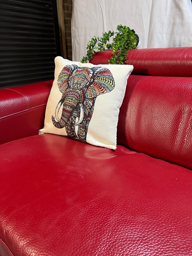 DFS Velocity / Kalamos Leather Chaise Sofa Bed - Red