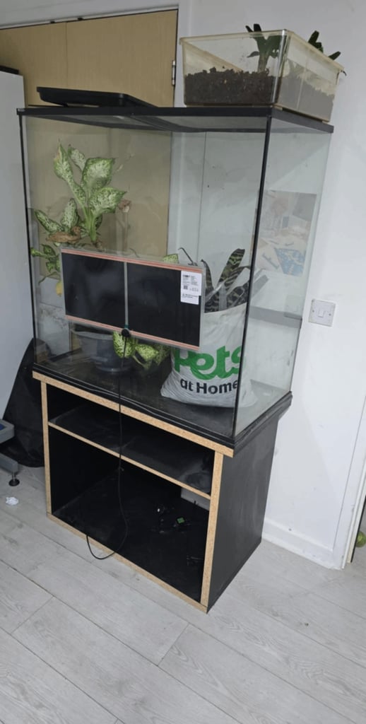 image for Glass terrarium set up