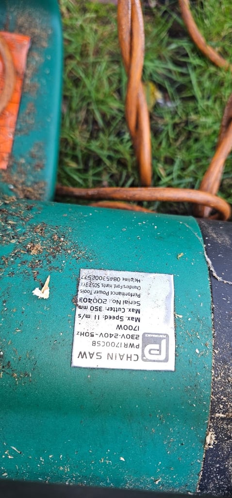 Electric chainsaw