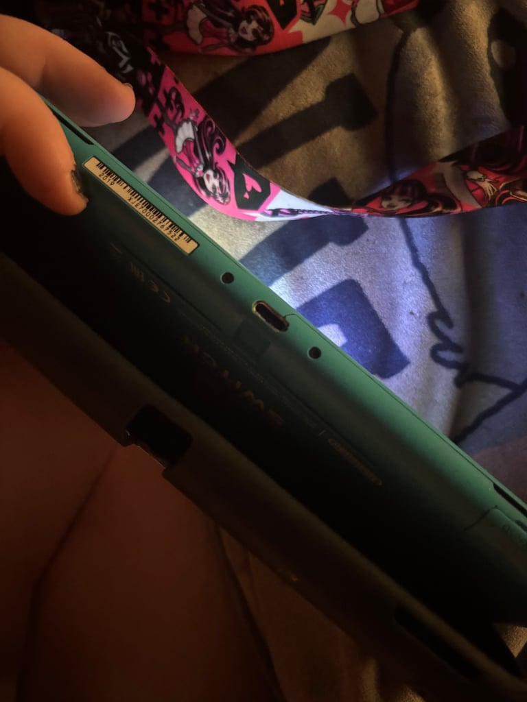 Nintendo switch lite