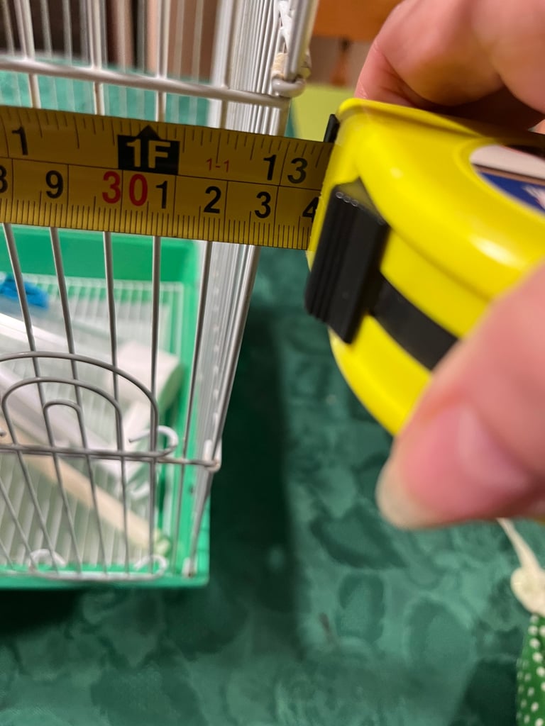 Small bird cage