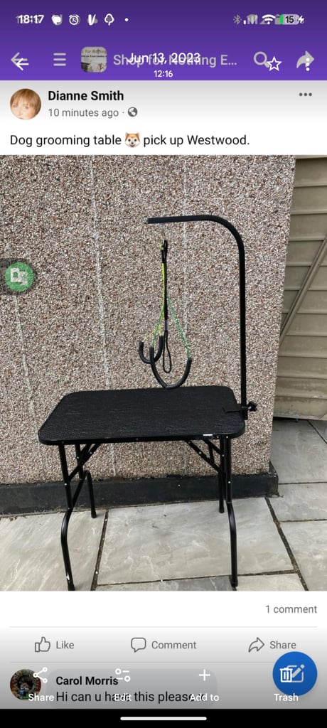 Dog grooming table 
