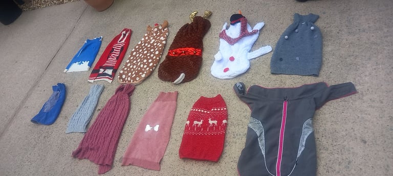 Dog coats & jumpers £3 each 